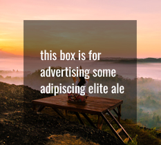 Advert Box